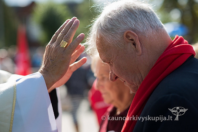 20150911 silines 3781 ms