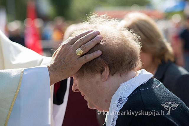 20150911 silines 3782 ms