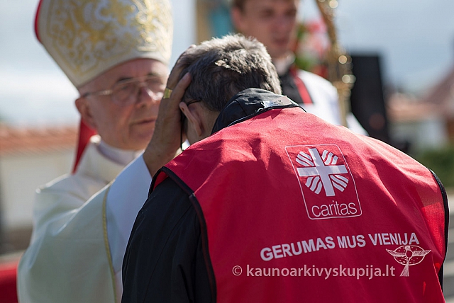 20150911 silines 3785 ms