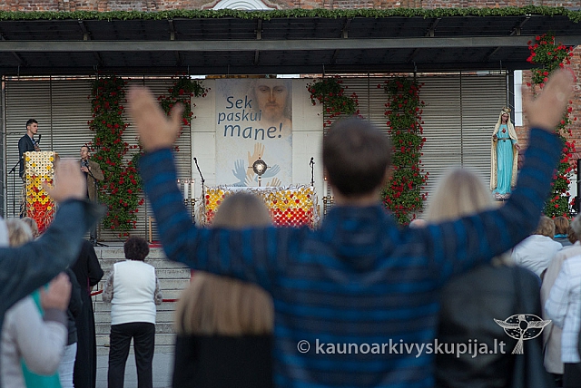 20150911 silines 3812 ms