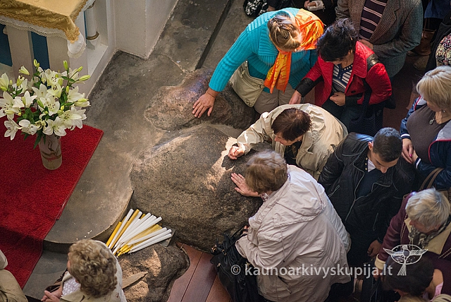 20150912 silines 3823 ms