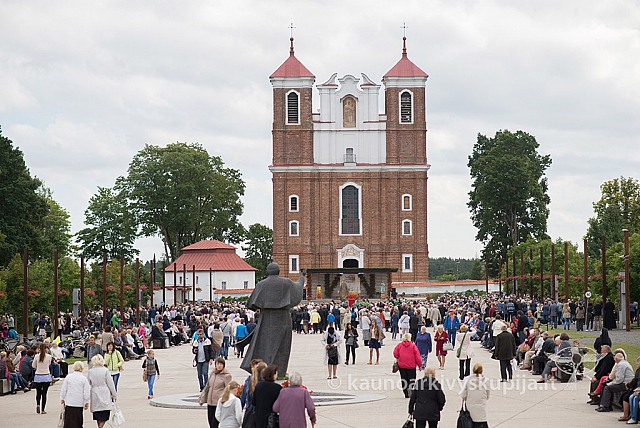 20150912 silines 3844 ms