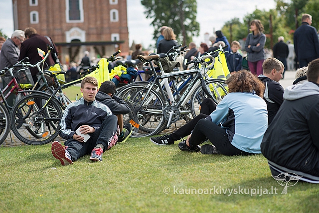 20150912 silines 3856 ms