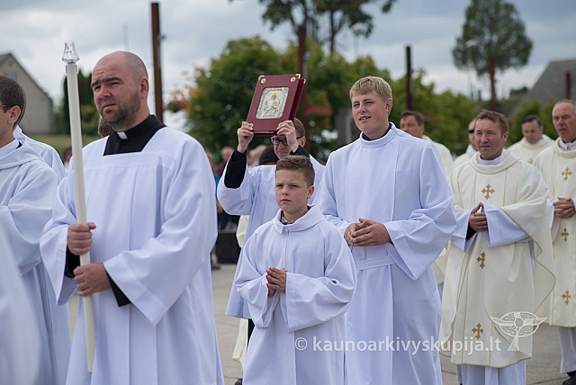 20150912 silines 3863 ms