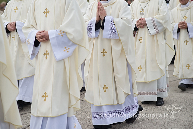 20150912 silines 3866 ms