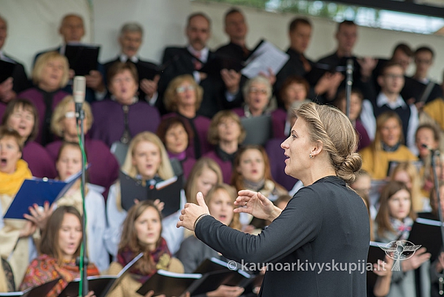 20150912 silines 3921 ms