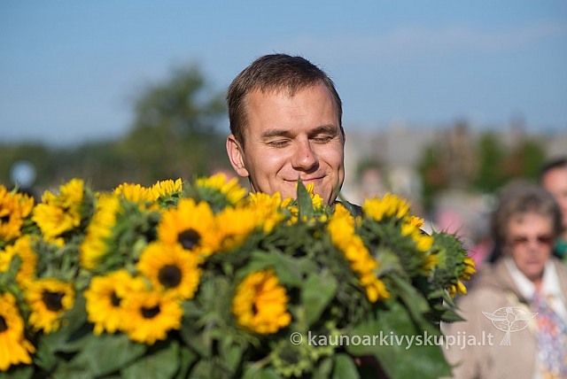 20150913 silines 4063 ms