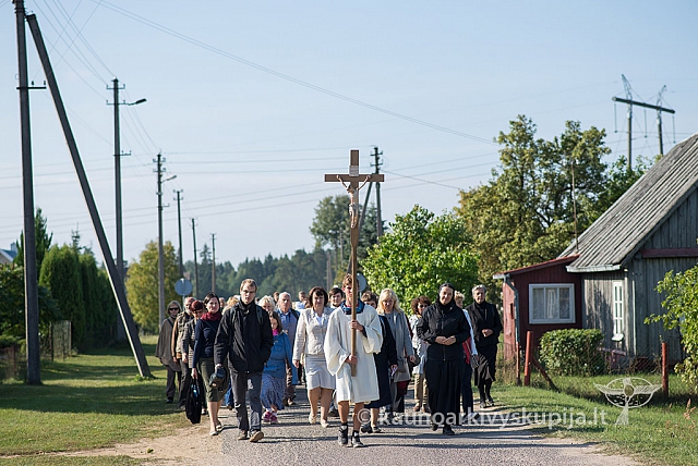 20150913 silines 4079 ms