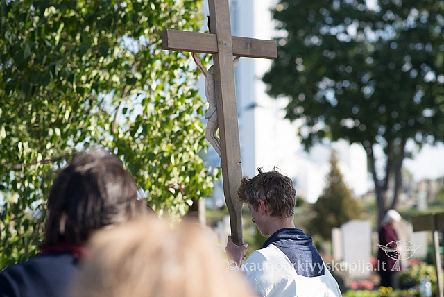 20150913 silines 4089 ms