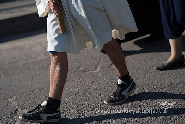 20150913 silines 4092 ms