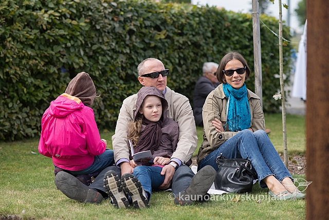 20150913 silines 4150 ms