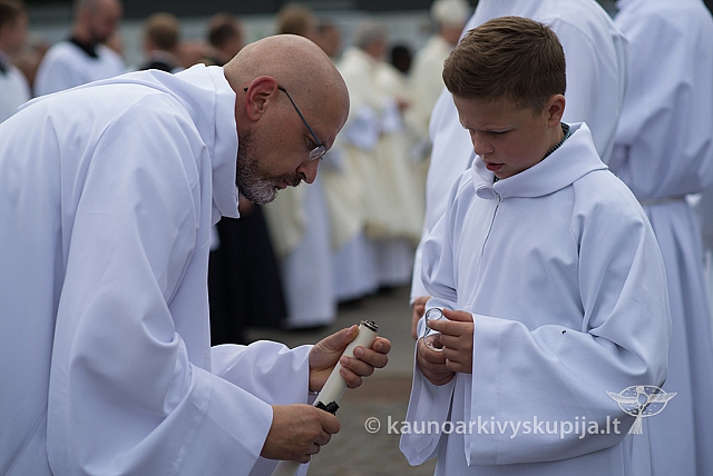 20150913 silines 4181 ms