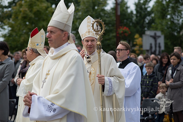 20150913 silines 4203 ms