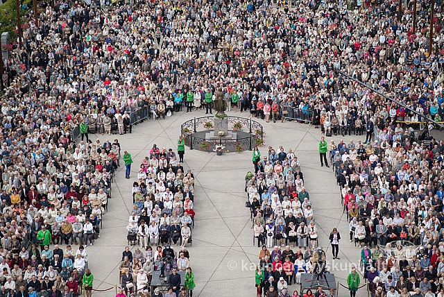 20150913 silines 4268 ms