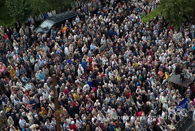 20150913 silines 4273 ms