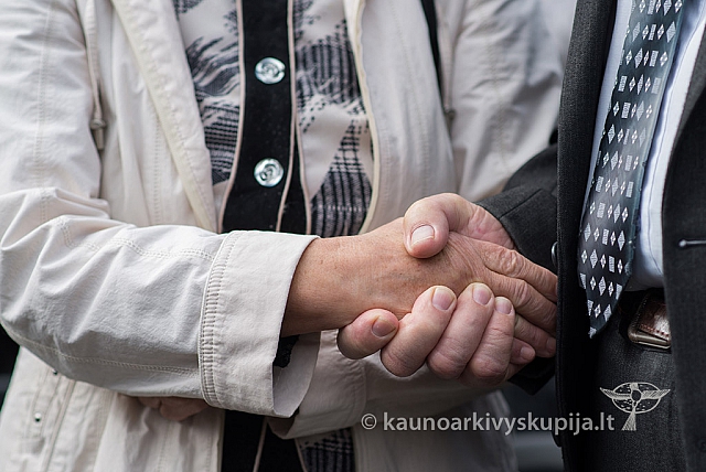 20150913 silines 4298 ms