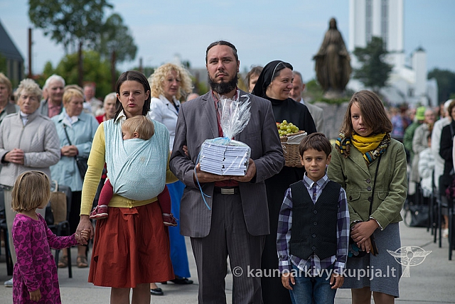 20150913 silines 4304 ms