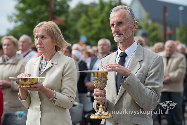 20150913 silines 4314 ms