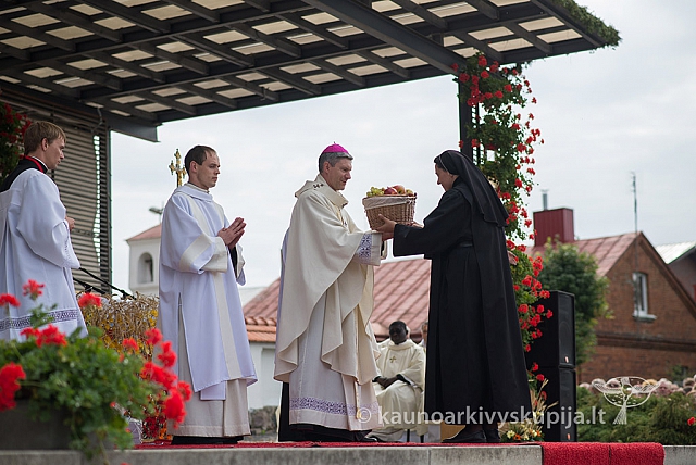 20150913 silines 4329 ms