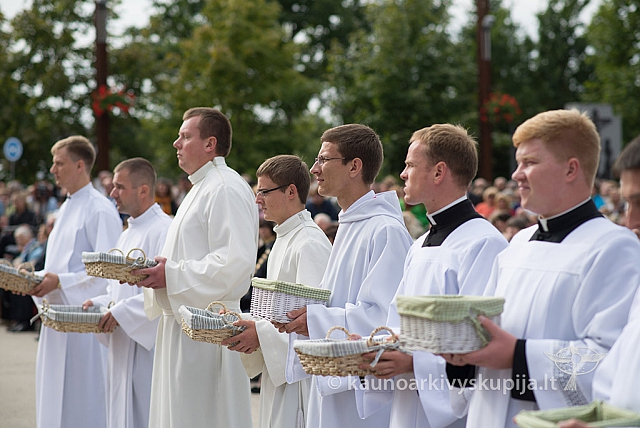 20150913 silines 4335 ms