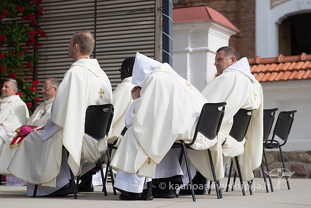 20150913 silines 4425 ms