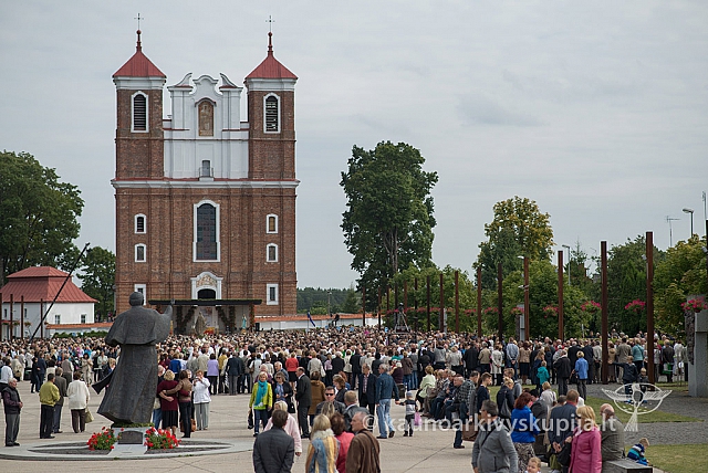 20150913 silines 4457 ms