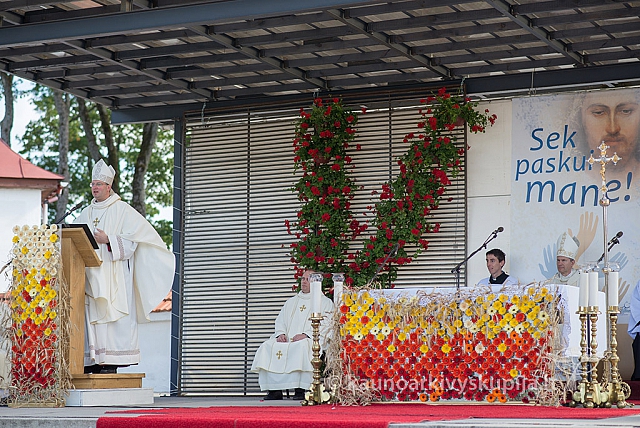 20150914 silines 4618 ms