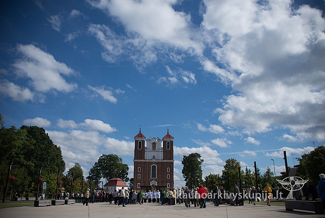 20150914 silines 4666 ms