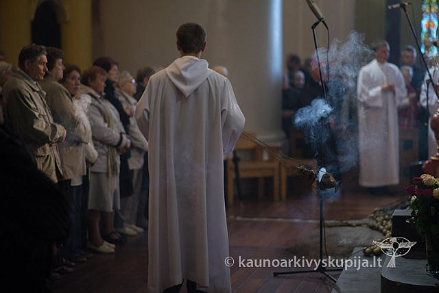 20150915 silines 4719 ms