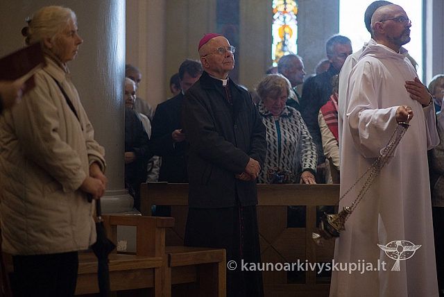 20150915 silines 4726 ms