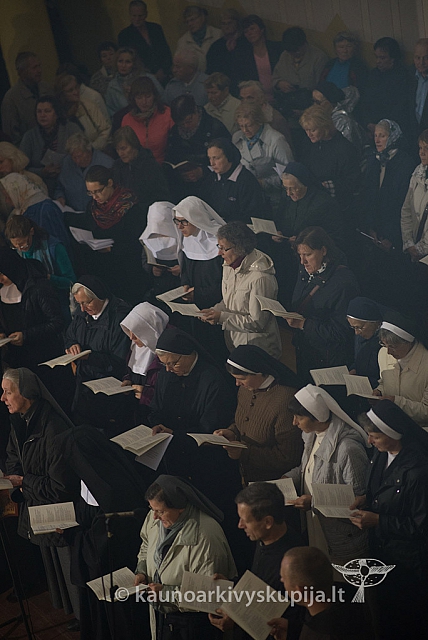 20150915 silines 4739 ms