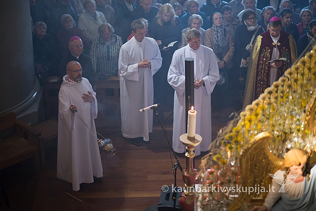 20150915 silines 4750 ms