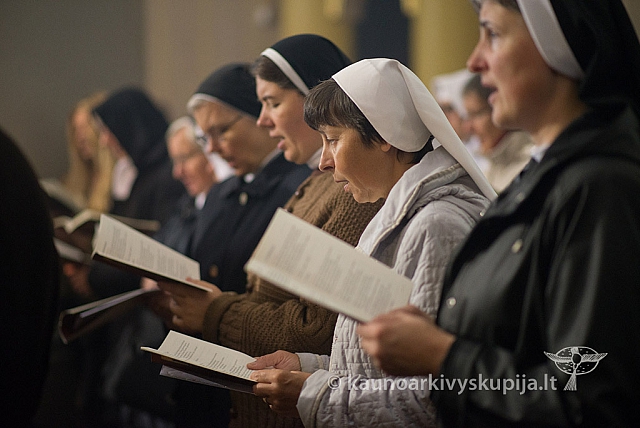 20150915 silines 4768 ms