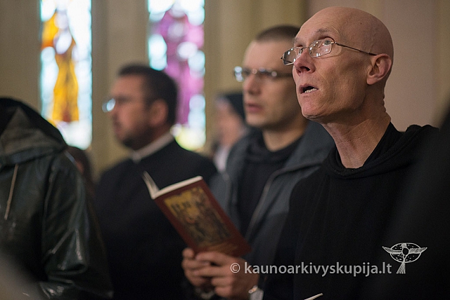 20150915 silines 4772 ms