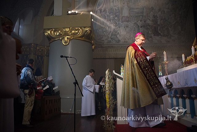 20150915 silines 4799 ms