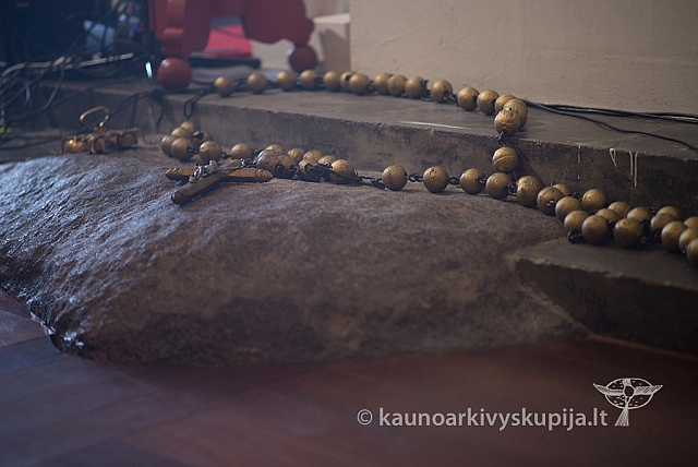 20150915 silines 4817 ms