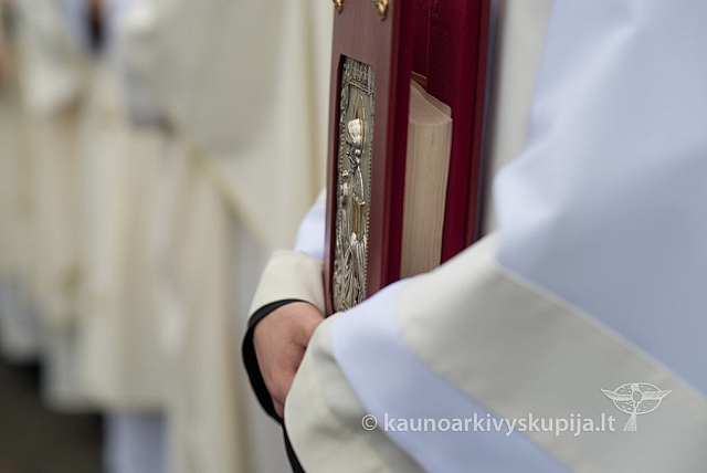 20150915 silines 4846 ms