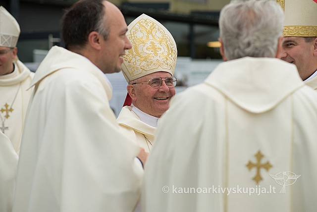 20150915 silines 4852 ms