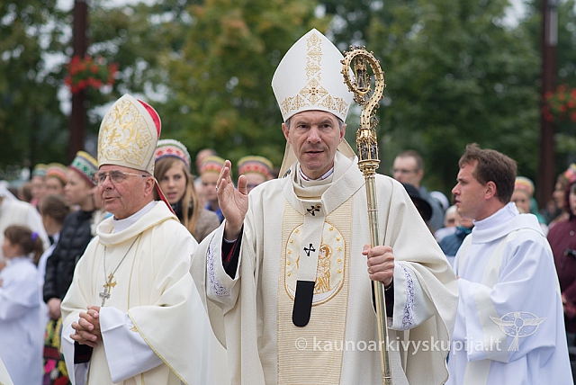 20150915 silines 4879 ms