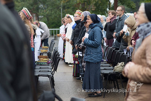 20150915 silines 4884 ms