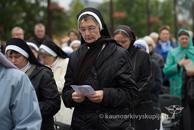 20150915 silines 4943 ms