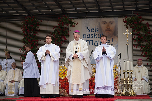 20150915 silines 4958 ms