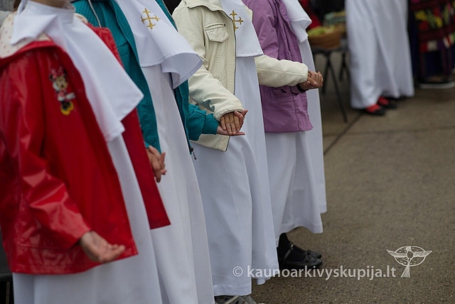 20150915 silines 4966 ms