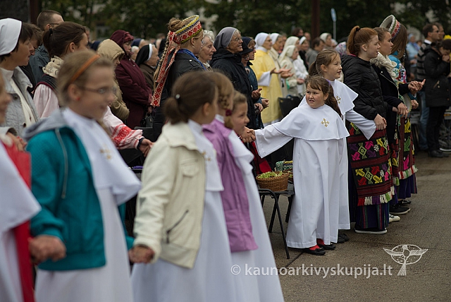 20150915 silines 4968 ms