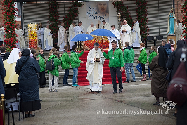 20150915 silines 4976 ms