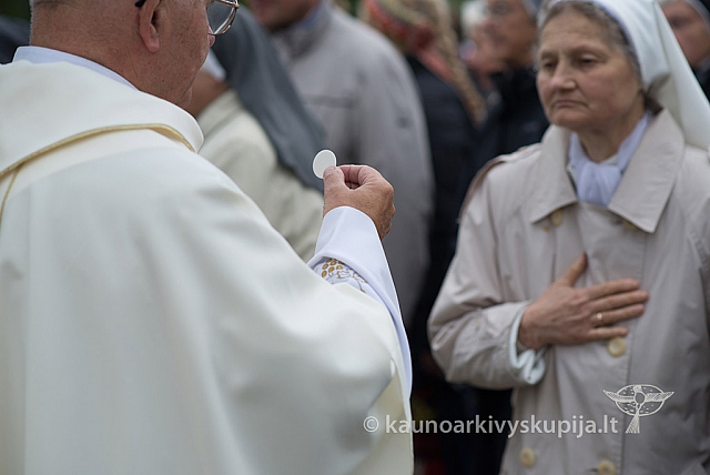 20150915 silines 4982 ms