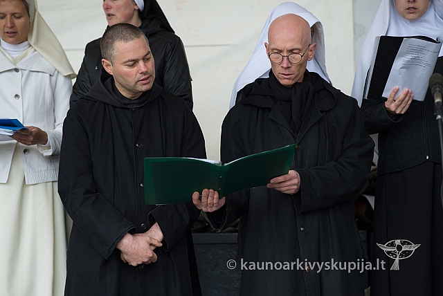 20150915 silines 4999 ms