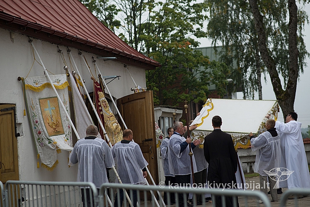 20150915 silines 5011 ms