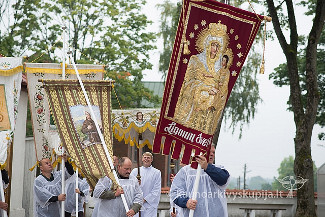 20150915 silines 5015 ms