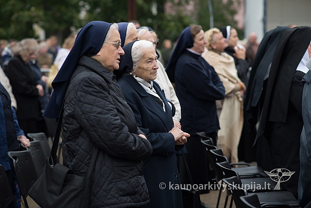 20150915 silines 5036 ms